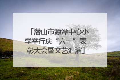 潜山市源潭中心小学举行庆“六一”表彰大会暨文艺汇演