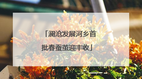 澜沧发展河乡首批春蚕茧迎丰收