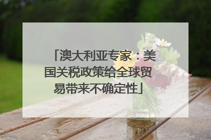 澳大利亚专家：美国关税政策给全球贸易带来不确定性