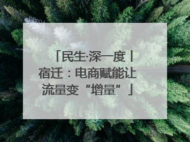 民生·深一度丨宿迁：电商赋能让流量变“增量”