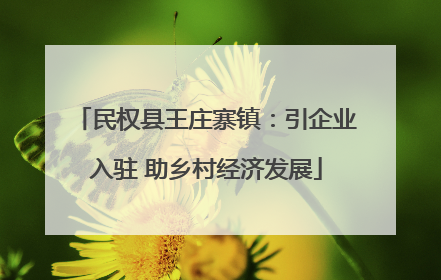 民权县王庄寨镇：引企业入驻 助乡村经济发展