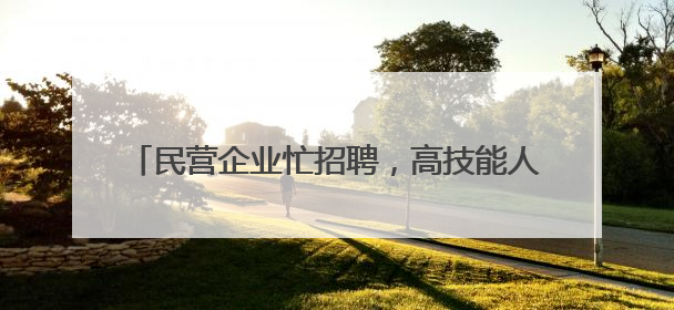 民营企业忙招聘，高技能人才很吃香——河北省个体私营企业网络招聘大会扫描