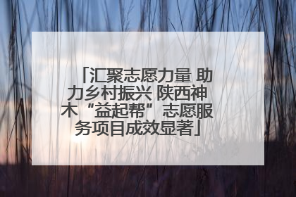 汇聚志愿力量 助力乡村振兴 陕西神木“益起帮”志愿服务项目成效显著