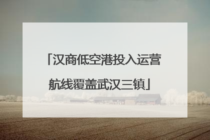 汉商低空港投入运营 航线覆盖武汉三镇
