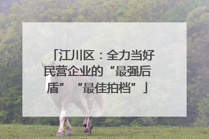 江川区：全力当好民营企业的“最强后盾”“最佳拍档”