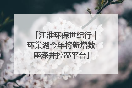 江淮环保世纪行｜环巢湖今年将新增数座深井控藻平台
