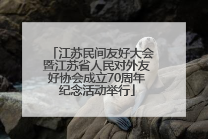 江苏民间友好大会暨江苏省人民对外友好协会成立70周年纪念活动举行