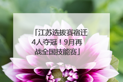 江苏选拔赛宿迁4人夺冠！9月再战全国技能赛