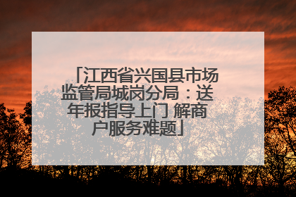 江西省兴国县市场监管局城岗分局：送年报指导上门 解商户服务难题