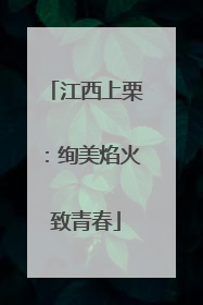 江西上栗：绚美焰火致青春