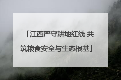 江西严守耕地红线 共筑粮食安全与生态根基