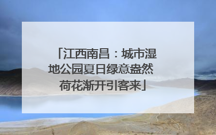 江西南昌：城市湿地公园夏日绿意盎然 荷花渐开引客来