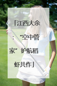 江西大余：“空中管家”护航稻虾共作