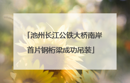 池州长江公铁大桥南岸首片钢桁梁成功吊装