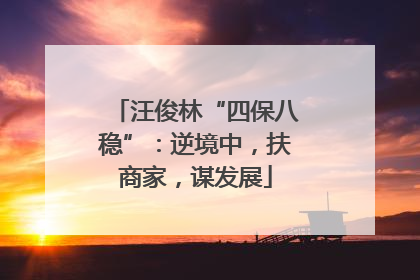 汪俊林“四保八稳”：逆境中，扶商家，谋发展