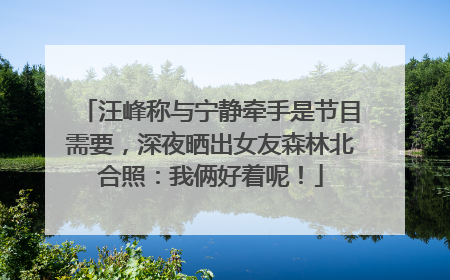 汪峰称与宁静牵手是节目需要，深夜晒出女友森林北合照：我俩好着呢！