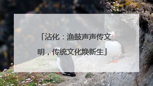沾化：渔鼓声声传文明，传统文化焕新生