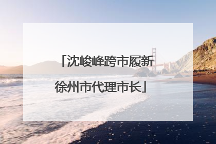 沈峻峰跨市履新徐州市代理市长