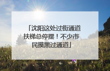 沈阳这处过街通道扶梯总停摆！不少市民摸黑过通道