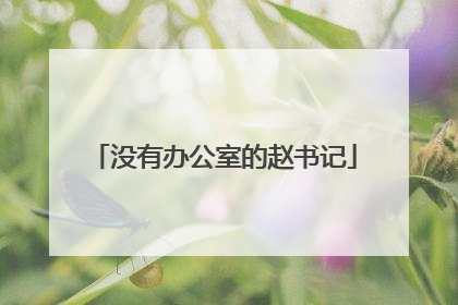 没有办公室的赵书记