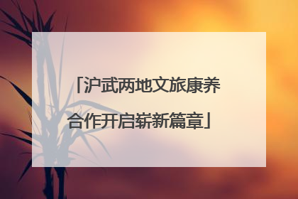 沪武两地文旅康养合作开启崭新篇章