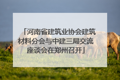 河南省建筑业协会建筑材料分会与中建三局交流座谈会在郑州召开