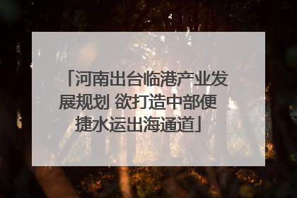 河南出台临港产业发展规划 欲打造中部便捷水运出海通道