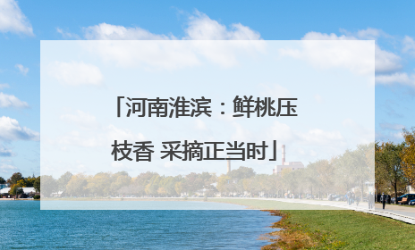 河南淮滨：鲜桃压枝香 采摘正当时
