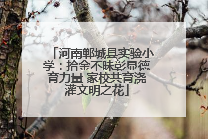 河南郸城县实验小学：拾金不昧彰显德育力量 家校共育浇灌文明之花