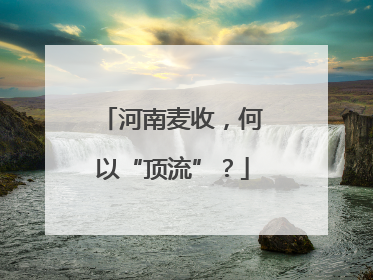 河南麦收，何以“顶流”？