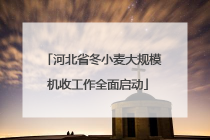 河北省冬小麦大规模机收工作全面启动