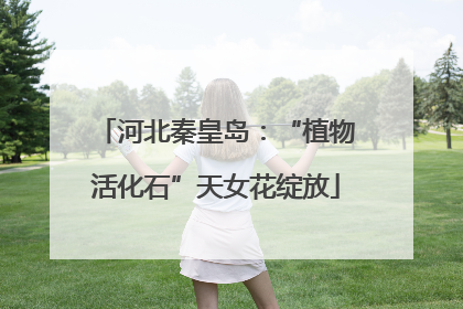 河北秦皇岛：“植物活化石”天女花绽放