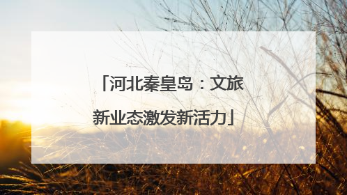 河北秦皇岛：文旅新业态激发新活力