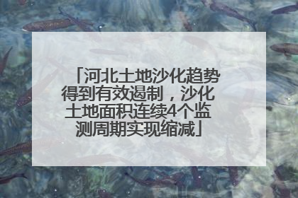 河北土地沙化趋势得到有效遏制，沙化土地面积连续4个监测周期实现缩减