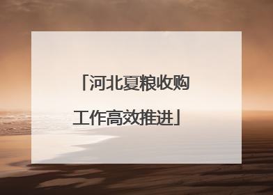 河北夏粮收购工作高效推进