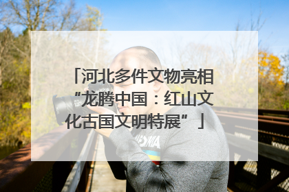 河北多件文物亮相“龙腾中国：红山文化古国文明特展”