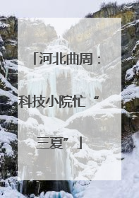 河北曲周：科技小院忙“三夏”