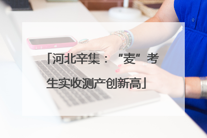 河北辛集：“麦”考生实收测产创新高