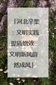 河北辛集：文明实践提质增效 文明新风蔚然成风
