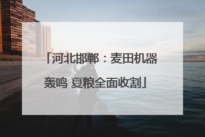河北邯郸：麦田机器轰鸣 夏粮全面收割