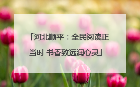 河北顺平：全民阅读正当时 书香致远润心灵