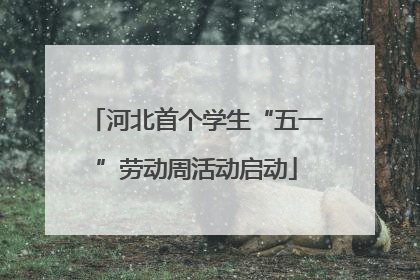河北首个学生“五一”劳动周活动启动