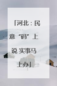 河北：民意“码”上说 实事马上办