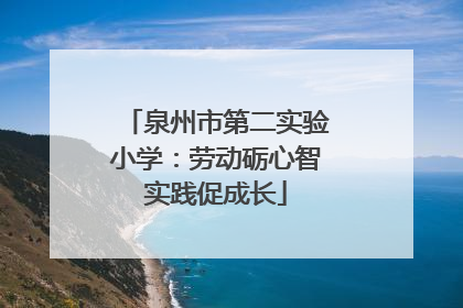 泉州市第二实验小学：劳动砺心智实践促成长