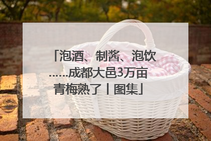 泡酒、制酱、泡饮……成都大邑3万亩青梅熟了丨图集