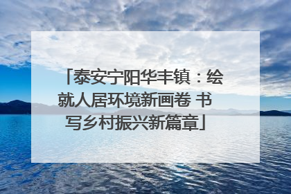 泰安宁阳华丰镇：绘就人居环境新画卷 书写乡村振兴新篇章