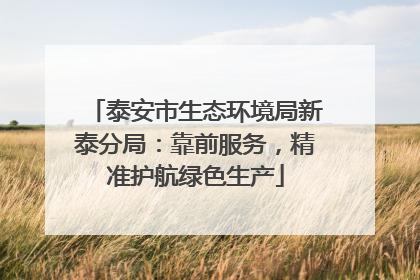 泰安市生态环境局新泰分局：靠前服务，精准护航绿色生产