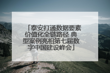 泰安打通数据要素价值化全链路径 典型案例亮相第七届数字中国建设峰会