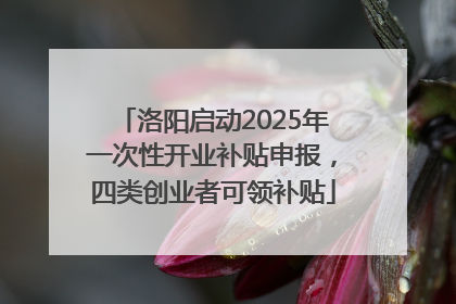 洛阳启动2025年一次性开业补贴申报，四类创业者可领补贴