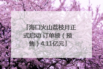 海口火山荔枝月正式启动 订单额（预售）4.11亿元